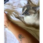 Tattoo by @Samfarfan El tatuaje cicatrizado y su protagonista 😺☺️ #tattoo #tatuaje #cat #gato #cattattoo #kitty #kittens #kitten #gatos #ink #inked #inkedgirls #madrid #madridtattooartist #madridtattoo #portugal #barcelonatattoo #barcelona #Tattoos #tattooed #tattooedgirls #tattooartist #tatuadora #tatuadores 
