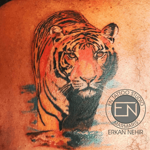 Color Realism Tiger Tattoo by Erkan Nehir  #tiger #tattoo #tattoos #tigers #color #colored #realism #animal #wild #wildlife #cat #cats #realistic #tigertattoo #erkan #nehir #erkannehir #entattoostudio #marmaris 