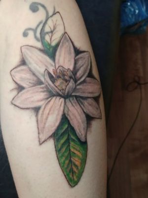 First session on ajasmine flower cover up