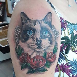 Felino tatuagem feminina feita em 3 horas