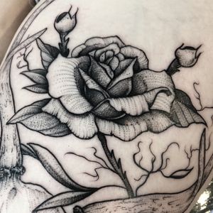 #blackwork #blackandgrey #dotwork #sweden #rose 