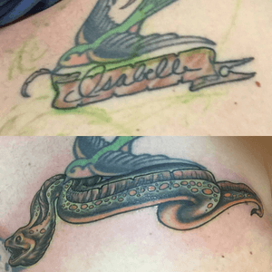 Cover up eel