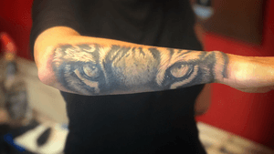 Peter finished this realistic black and grey tiger eyes on charisma. 4 hours of work total.