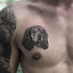 Tattoo by Laia De Sole #LaiaDeSole #dotworktattoos #dotwork #stippling #dots #illustrative #blackwork #dog #petportrait #cockerspaniel