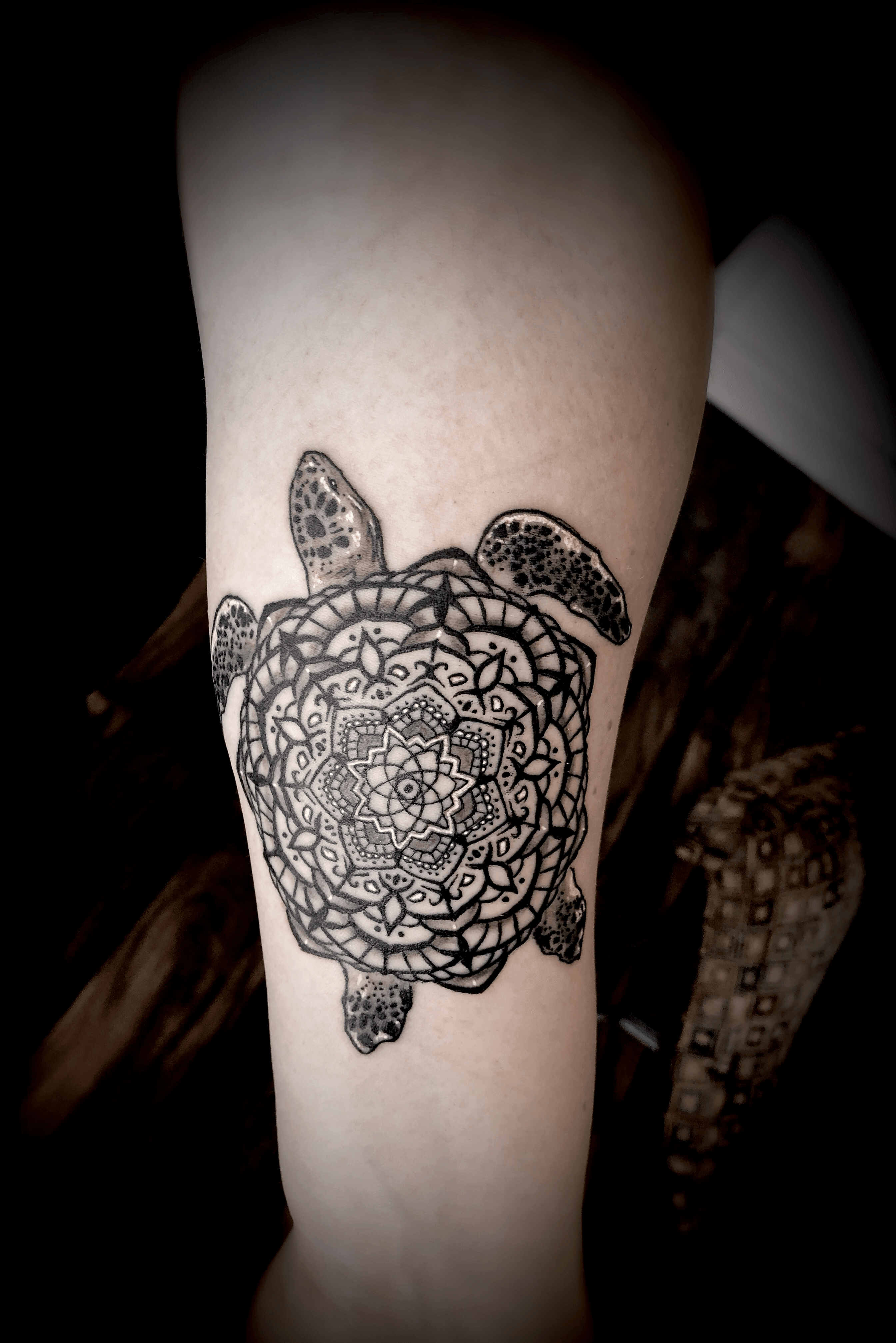 Turtle Tattoo Designs For Woman  TattooMenu