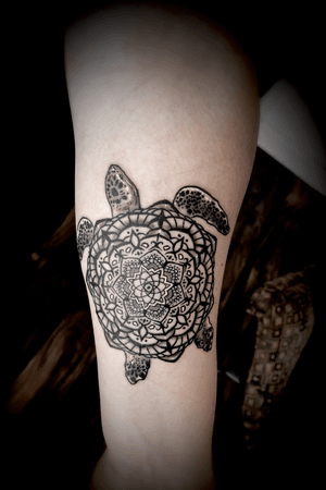Mandala turtle 