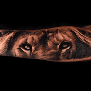 Lion eyes- #lion #blackandgrey #losangeles #reservoirtattoostudio #inked #animal #detail #realism #tattooartist #tattooart #Tattoodo 