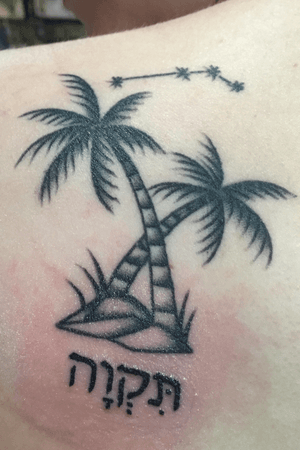 palm trees and aries constellation for my dad who always wanted a palm tree in his backyard and the word hope in hebrew under the rocks to resemble roots, hope is a very sacred word in my home so my mom and i got matching hope tattoos🖤