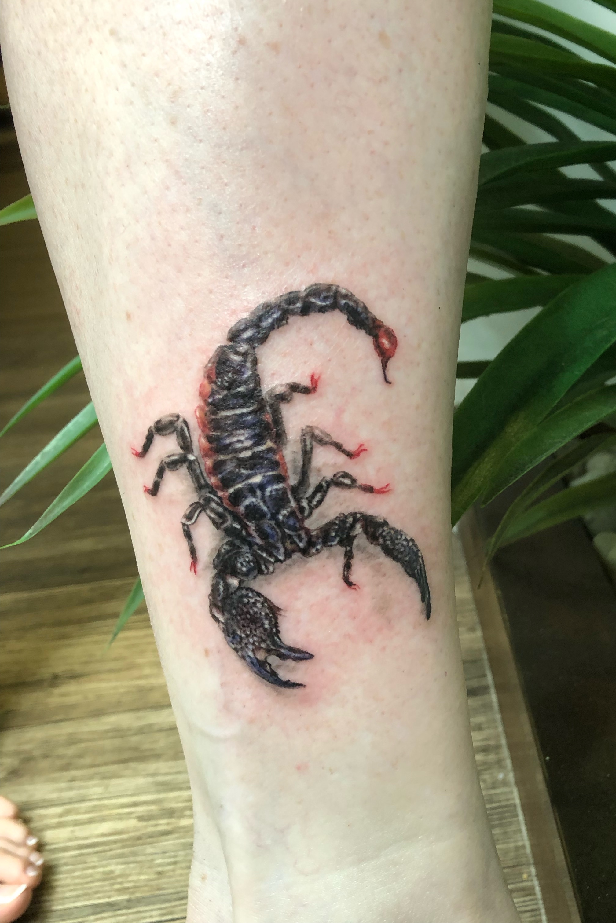 25 Savage Scorpion Tattoos for Men  Pulptastic