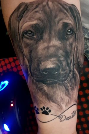 My lovely dog will always be with me now ❤ #animaltattoo #realistic #dog #firsttattoo #whatiftattooandpiercing #sweden #karlstad 
