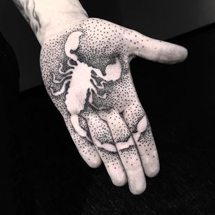 Tatuaje de Piotr Szencel #PiotrSzencel #dotworktattoos #dotwork #stippling #dots #ilustrativo #blackwork #scorpion #palm