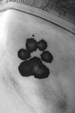 Small tattoo of a dog paw #blackandgray #blackwork #chesttattoo #dog #paw #smalltattoo 