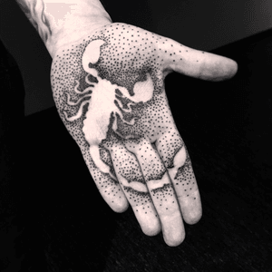 #piotrszencel #dotwork #blackwork #hand #scorpion #graphic #blackandgrey #dark #dots 
