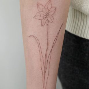 Tatuaje de Pauline Tattoo #PaulineTattoo #finelinetattoos #fineline #delicate #linework #illustrative #narciso #flower #flowers #minimal