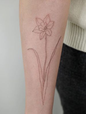 Tattoo by Pauline Tattoo #PaulineTattoo #finelinetattoos #fineline #delicate #linework #illustrative #daffodil #flower #floral #minimal