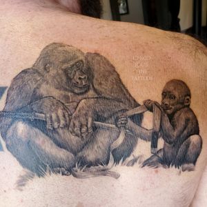 Healed gorillas MMA