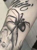 Tattoo by Lesoink #Lesoink #besttattoos #favoritetattoos #awesometattoos #tattoodoapp #tattooartist #tattoodoappartists #blackandgrey #spider #arachnid #darkart