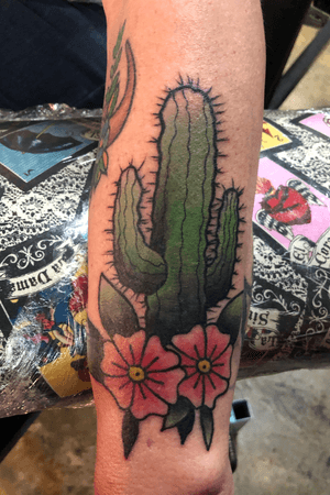 #cactus #AmericanTraditional #armtattoo #colortattoo #texastattoo 