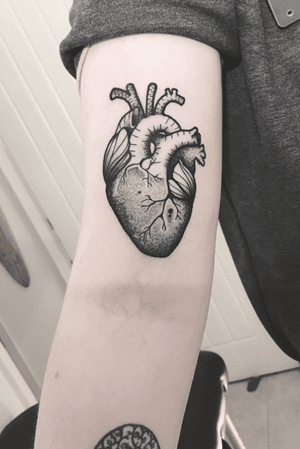 Anatomical dotwork heart