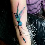 #watercolor 🐦 _ _ #birdtattoos #birds #colours #colourtattoo #tattoolife #tattoolovers #freehandtattoo #animals  #tattooselection