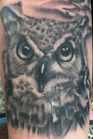 #owl #armtattoo #blackandgrey #realism #texastattoo 