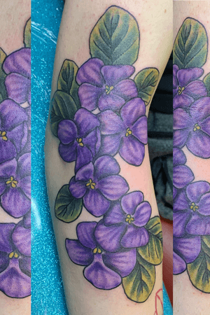 #violets