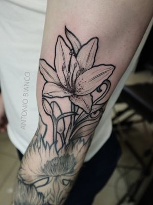 "Lilly" for Liam. Do you guys love floral tattoos? Work by @blanktattooartTo book your tattoo with us, send your enquiry via our web:💻www.tattooinlondon.com📞Or call 02086821185Open Thursday to MondaySouth West London, Tooting#uktattoo #crimsontideink #ctilondon #artnouveautattoo #lillytattoo #armtattoo #lilly #londontattoos #tooting #londontattooartist  #tootingtattoo #dailytattoos #london #blacktattoo  #blackandgreytattoo #тату #татуировка #русскийлондон