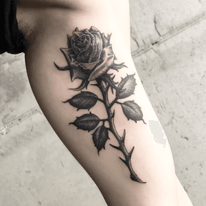 Viscious rose. #blackwork #blackandgrey #linework #rose #flower #arm #illson