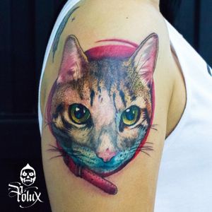 Realism Cat tattooTattoer Colombia 