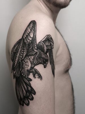 Instagram: @olga_tattoosE-mail:         Olgamdtattoos@gmail.com #falcontattoo #falcon #birdtattoo #london#londontattoos#shoreditch#customdesign#customtattoos#bw#blackink#blscktattoos#tattoo#tattoos#tattooed#tattooers#blackwork#blackink#blackworkers#blackworkers_tattoo#ttt#tttism#ldnttt#london#ink#londontattoos#uktattooers#blacktattoos#blackandgrey#blackandgreytattoos#realistictattoo#art#blackandgreytattoos