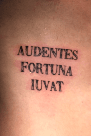 My first tattoo #Latin #lettering #letteringtattoo 
