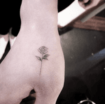 Jayeon Tattoo Tattooing Nature  Seoul, kR https://open.kakao.com/o/sACZ2mgb #koreatattoo #korea #seoul #fineline #flowertattoo #nature #naturetattoo Insta@tattooing_nature 