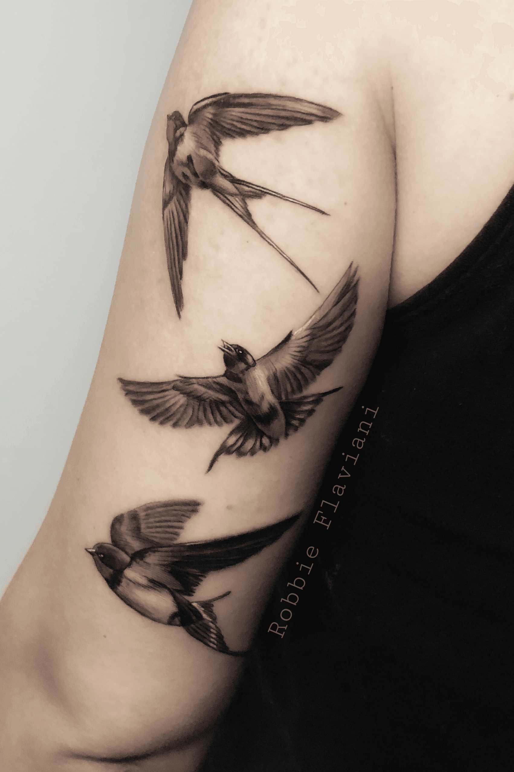 Black and grey swallows tattoo located on the forearm