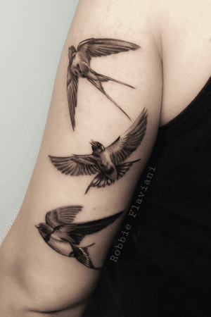 #swallow #Golondrina #swallows #blackandgrey #black #realism #realistic #minirealism #smalltattoo #smallrealism #bird #birds #fly #blackAndWhite #RobbieFlaviani #tattooartist #tattoooftheday 