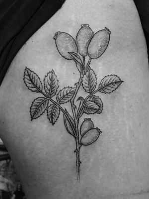 #340tattoo #dotwork #rosehiptattoo #fetishtattoobudapest