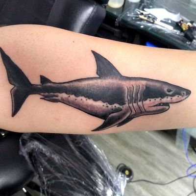 #shark#greatwhite#sharktattoo#blacktattoo#blackandgrey