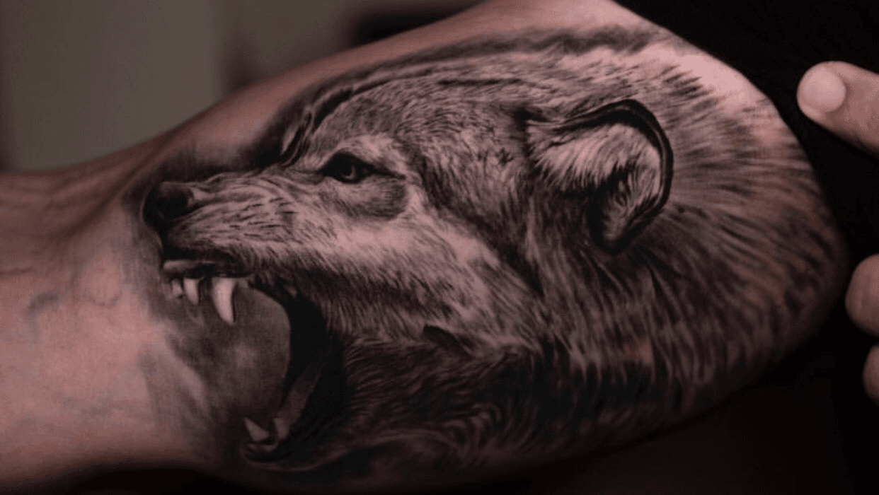 Geometric pattern with realism Wolf tattoo  Done by Kabir  Z TATTOO  STREET     wolftattoo wolf tattoo tattoos ink wolfdog   Instagram