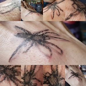 Spider tattoo white tail spider