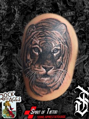 #tigertattoo #tiger #tigre #blackandgreytattoo #wildcats #wildlife #josesanjuan #josesanjuanart #mexicantattooartist #mexico #puertovallarta #puertovallartatattoo #PV #tatuaje #tattoo 