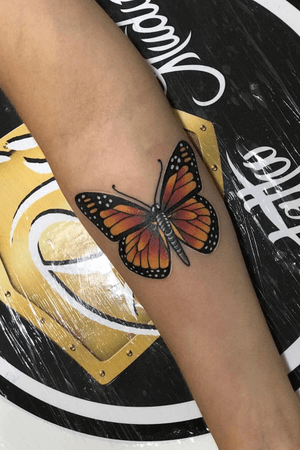 Borboleta monarca 🐛🦋 