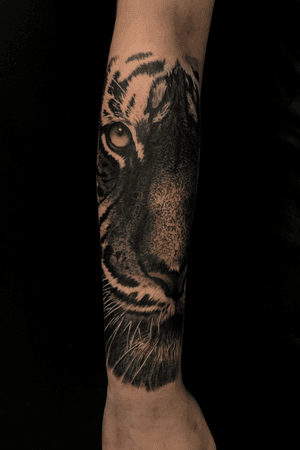 Tiger tattoo #tiger #tigertattoo #cattattoo #tattoo #tattoos #dallastattooartist #texastattoo #blackandgrey #blackandgreytattoo #realism #realistic 