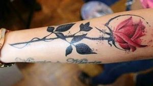 #rose #rosetattoo #tattoorose #tatugem #rosa #aquarela #roseaquarela