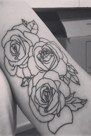 Roses outline