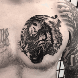 Realistic black and grey fineline tiger tattoo. Id love to do more poeces like this one!