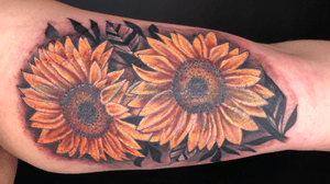 CoverUp Using Sunflowers- MelB
