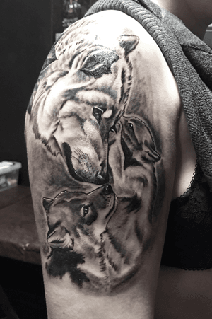 #krismen #tattooartist #blackandgreytattoo #wolfs #wildanimals #gdansktattoo #realistictattoo #realism 