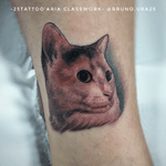 Primeira tattoo da Eliete Valim . Obrigado por confiar... #tattooguarulhos #brunoura25 #25tattooaria #tatuagemfeminina #amorfelino #gatos #tattoocolor #tattoodo