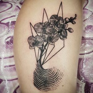 #floral #floraltattoo #blackworktattoo #orchids #polkadots #geometric #lineworktattoo  #tattoo #tattooartist #darkart #darkartist #artesobscurae #berlintattoo #tätowierung #apocalypsetattoo