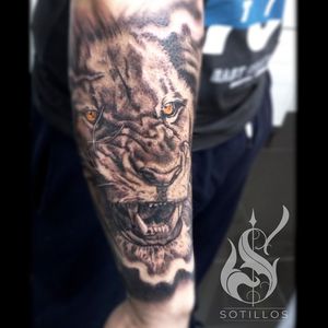 Lion tattoo. #lion #realism #black and grey