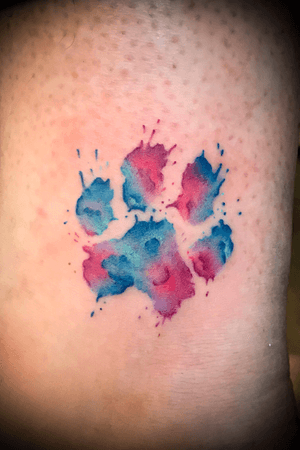 #watercolor #pawprint on the #ankle #colour #paw 